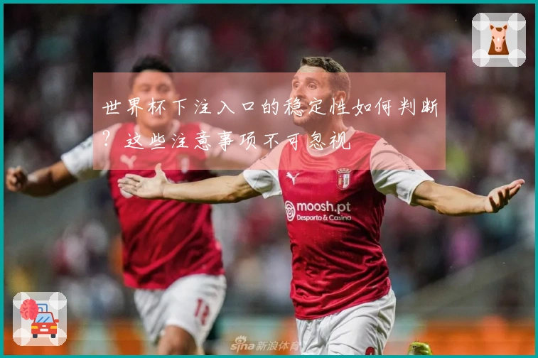 世界杯下注入口的稳定性如何判断？这些注意事项不可忽视