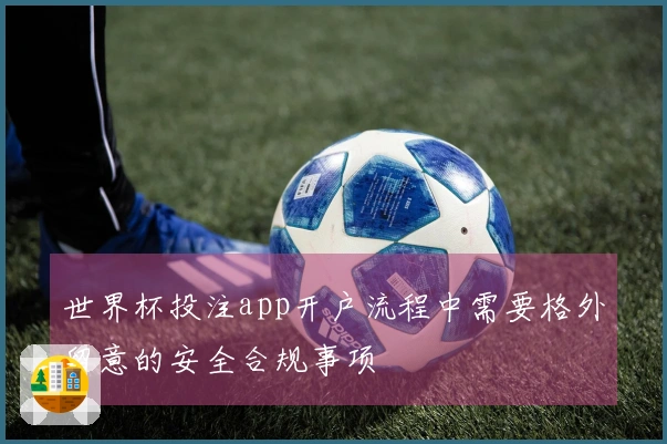 世界杯投注app开户流程中需要格外留意的安全合规事项