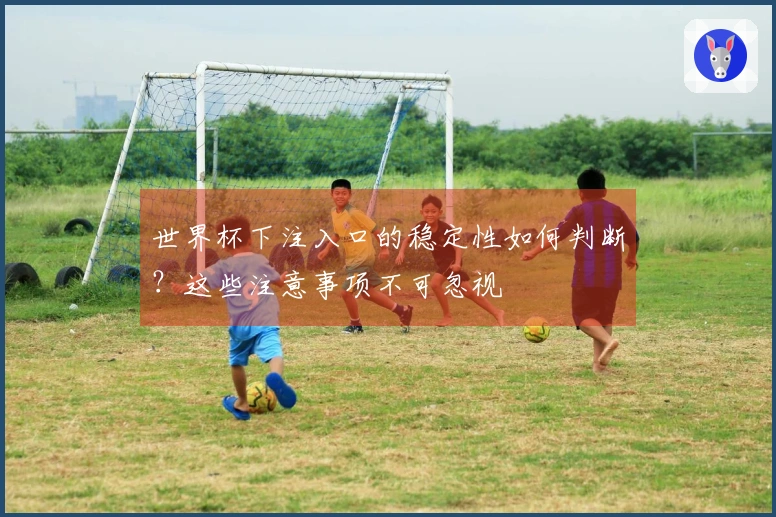 世界杯下注入口的稳定性如何判断？这些注意事项不可忽视