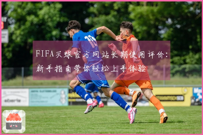 FIFA买球官方网站长期使用评价：新手指南带你轻松上手体验