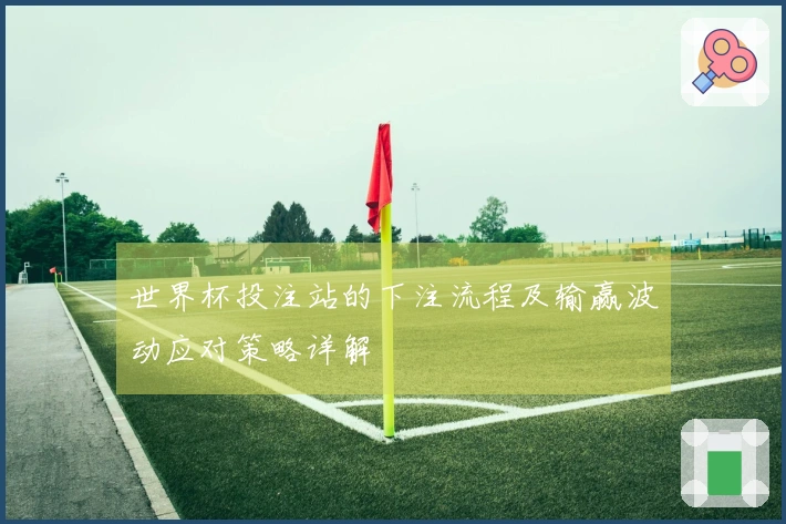 世界杯投注站的下注流程及输赢波动应对策略详解