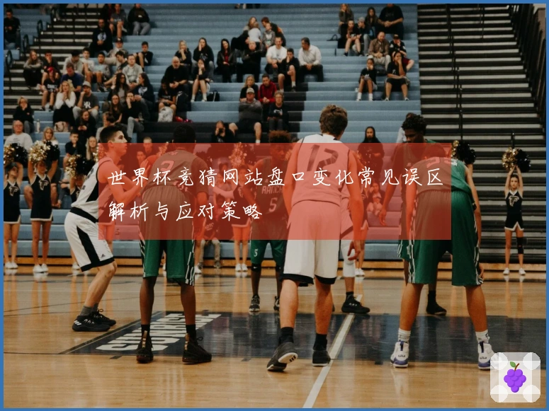 世界杯竞猜网站盘口变化常见误区解析与应对策略