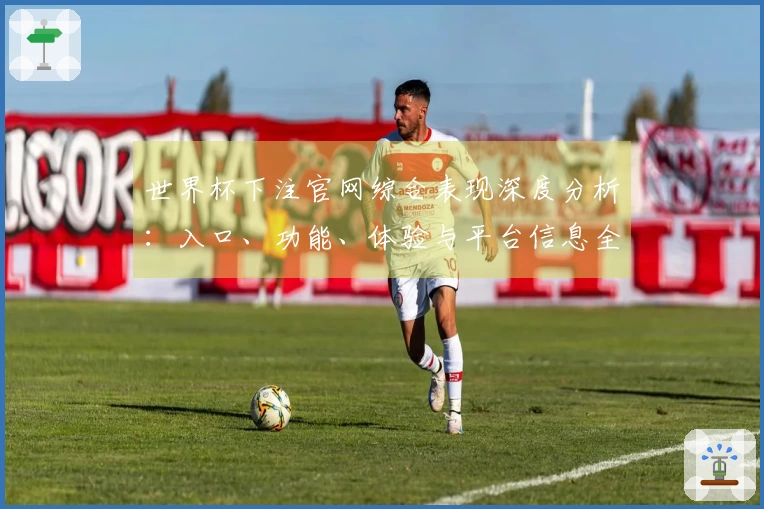 世界杯下注官网综合表现深度分析：入口、功能、体验与平台信息全方位解读