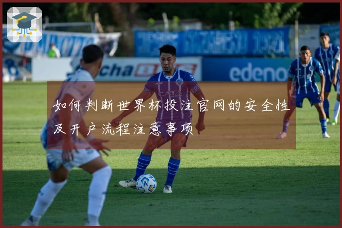 如何判断世界杯投注官网的安全性及开户流程注意事项