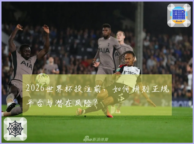 2026世界杯投注前，如何辨别正规平台与潜在风险？