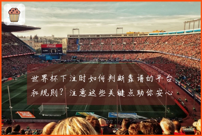 世界杯下注时如何判断靠谱的平台和规则？注意这些关键点助你安心购彩
