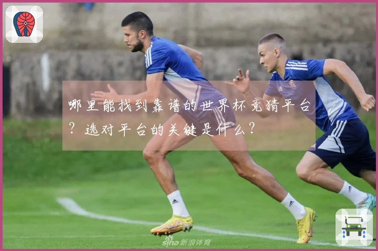 哪里能找到靠谱的世界杯竞猜平台？选对平台的关键是什么？