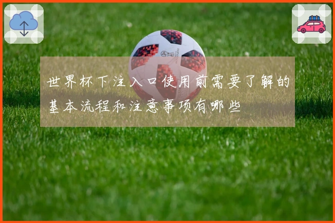 世界杯下注入口使用前需要了解的基本流程和注意事项有哪些