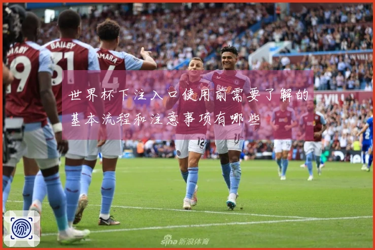 世界杯下注入口使用前需要了解的基本流程和注意事项有哪些