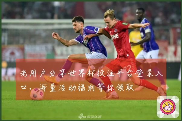 老用户分享世界杯投注平台登录入口，海量活动福利等你领取