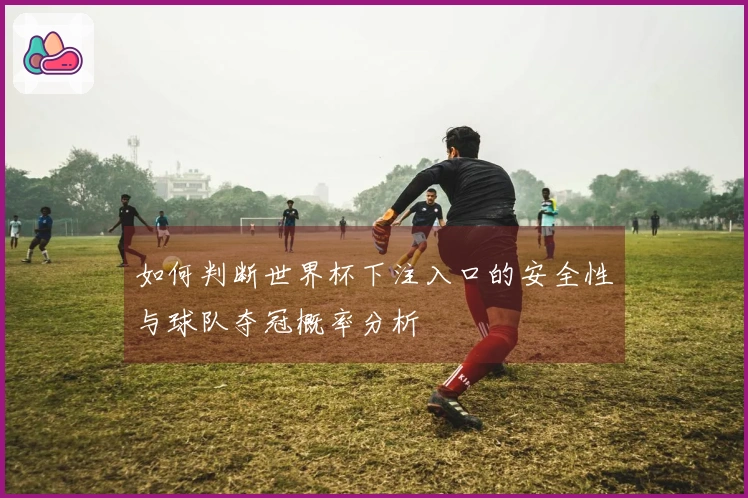 如何判断世界杯下注入口的安全性与球队夺冠概率分析